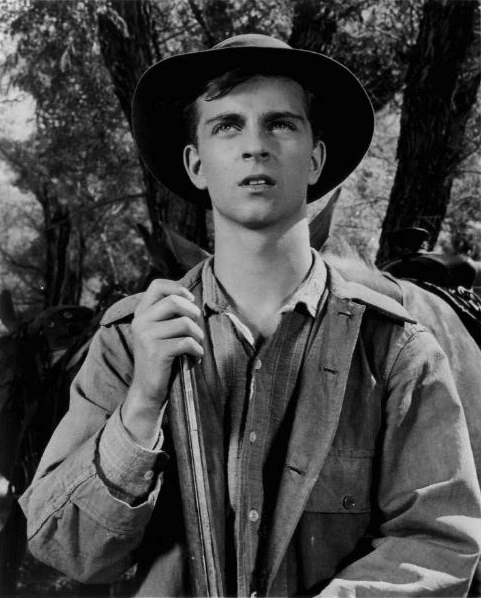 Tommy Rettig Net Worth: Estimated Range, Income, Assets